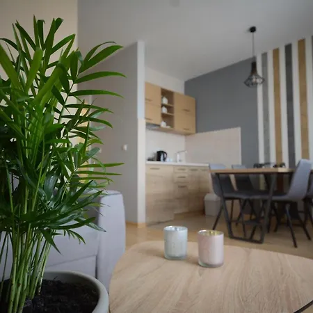 Apartament Apartman Elena 11 *