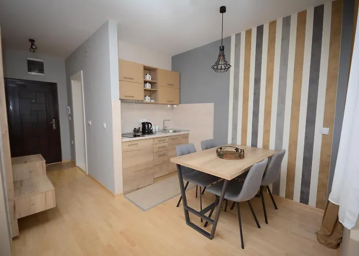 Apartman Elena 11 公寓 *