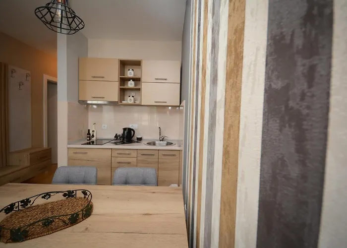 Apartman Elena 11 公寓